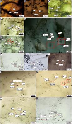 Genesis of the Shibaogou Mo–Pb–Zn deposit in the Luanchuan ore district, China: Constraints from geochronology, fluid inclusion, and H–O–S–Pb isotopes